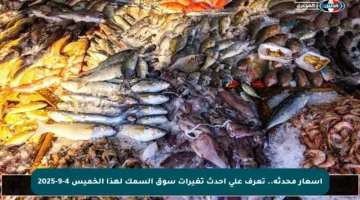 أسعار محدثة.. تعرف على أحدث تغيرات سوق السمك لهذا الخميس 4-9-2025